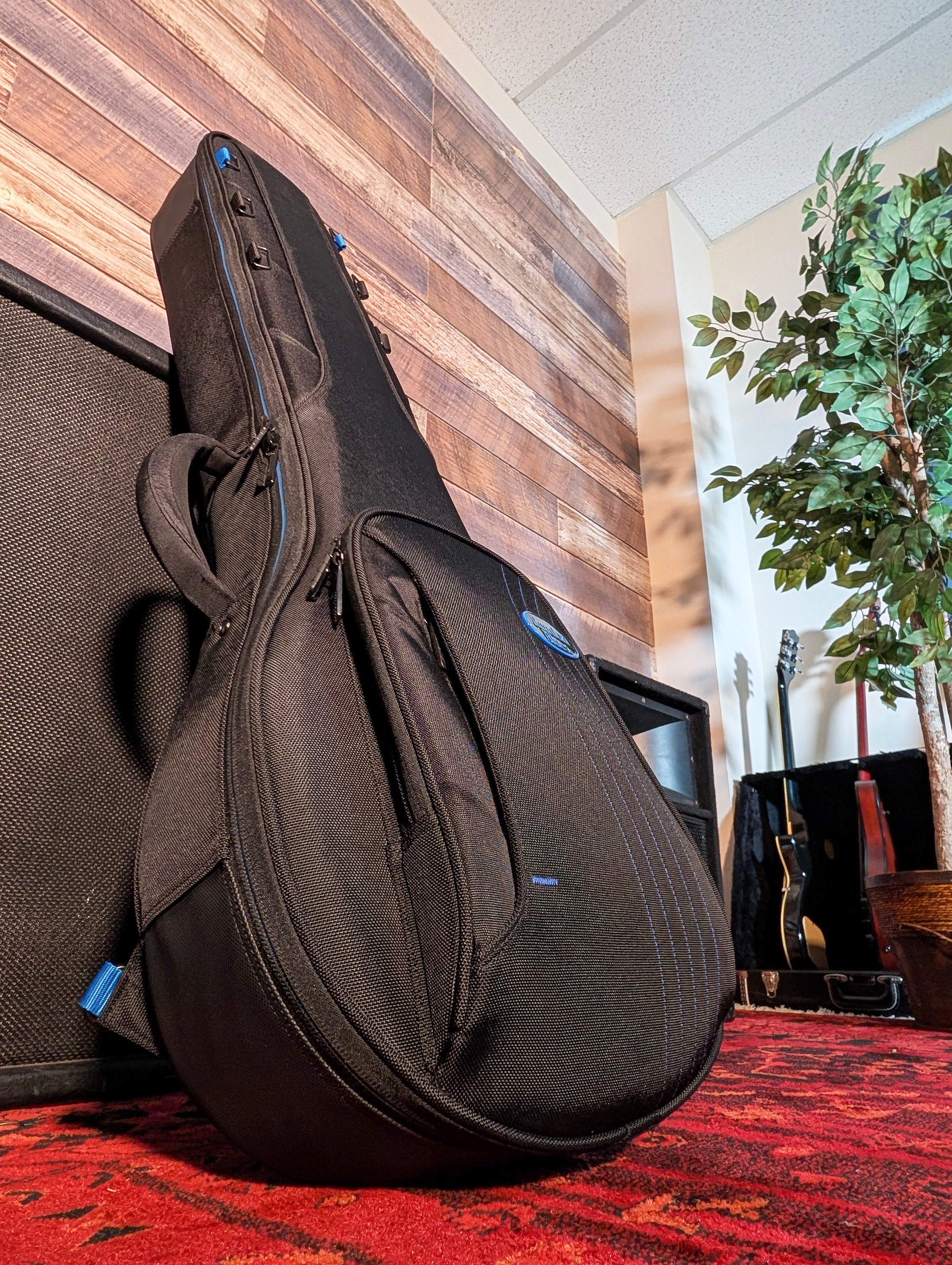 RB Expedition Banjo Case