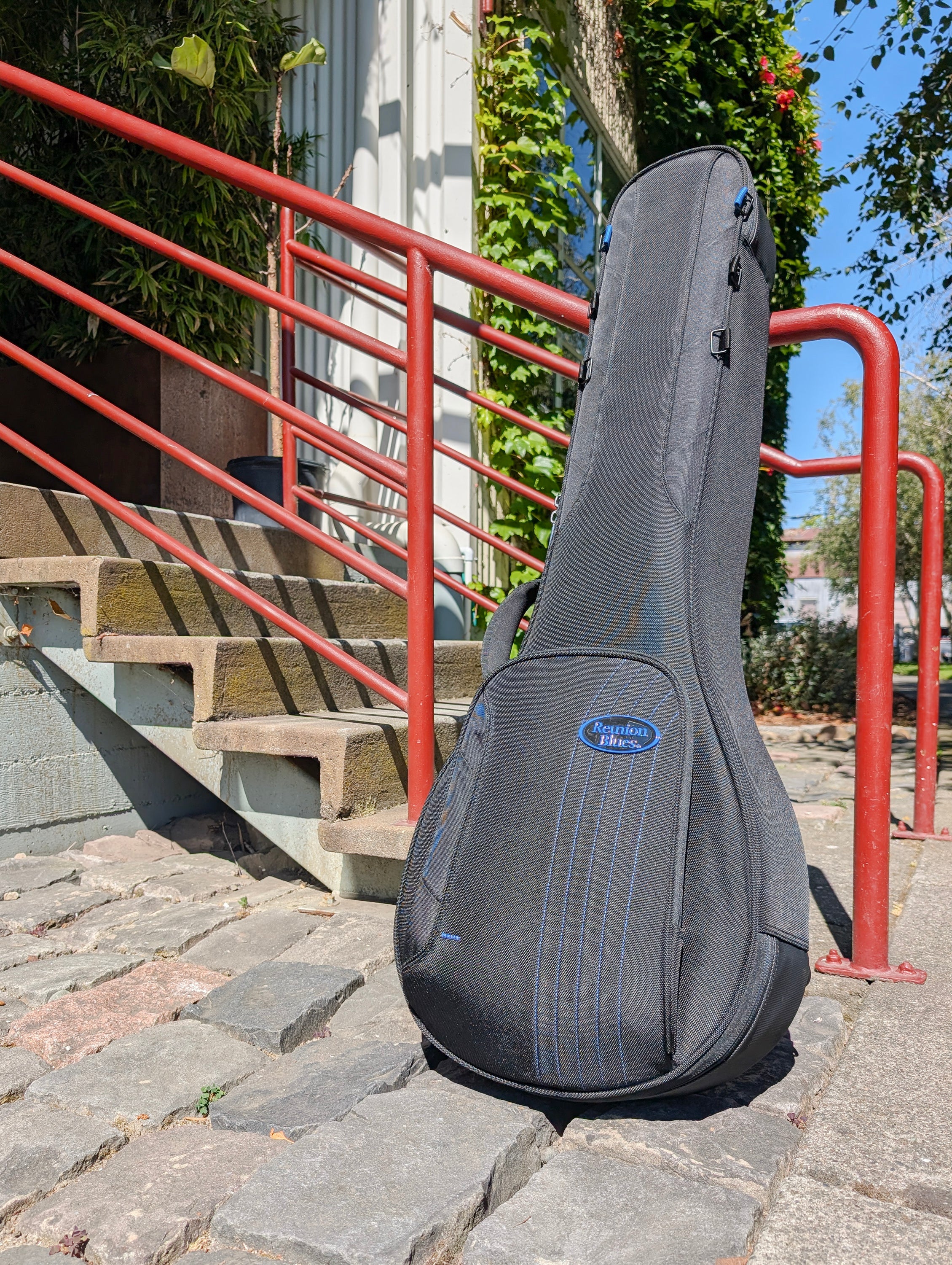 RB Expedition Banjo Case