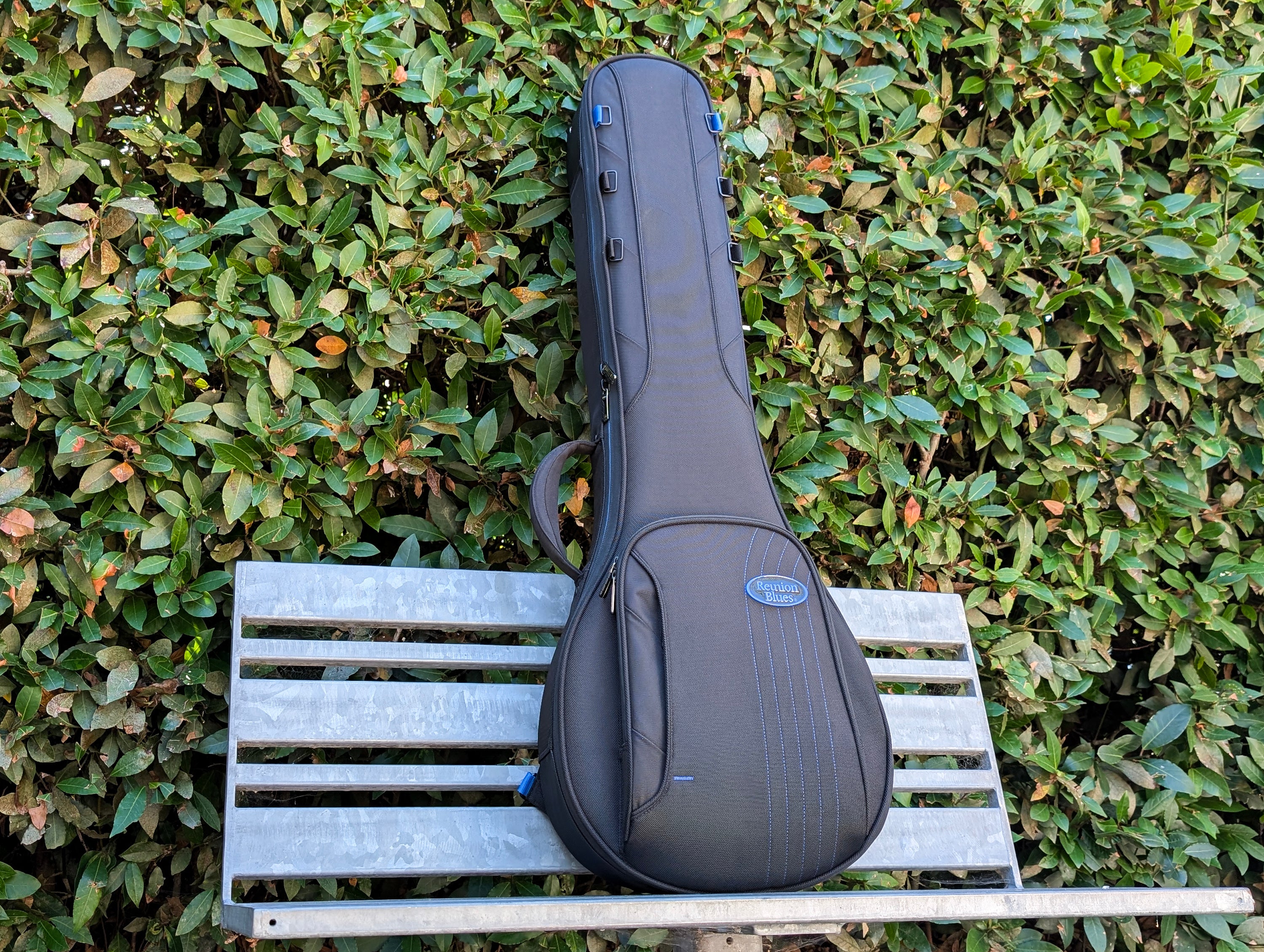 RB Expedition Banjo Case