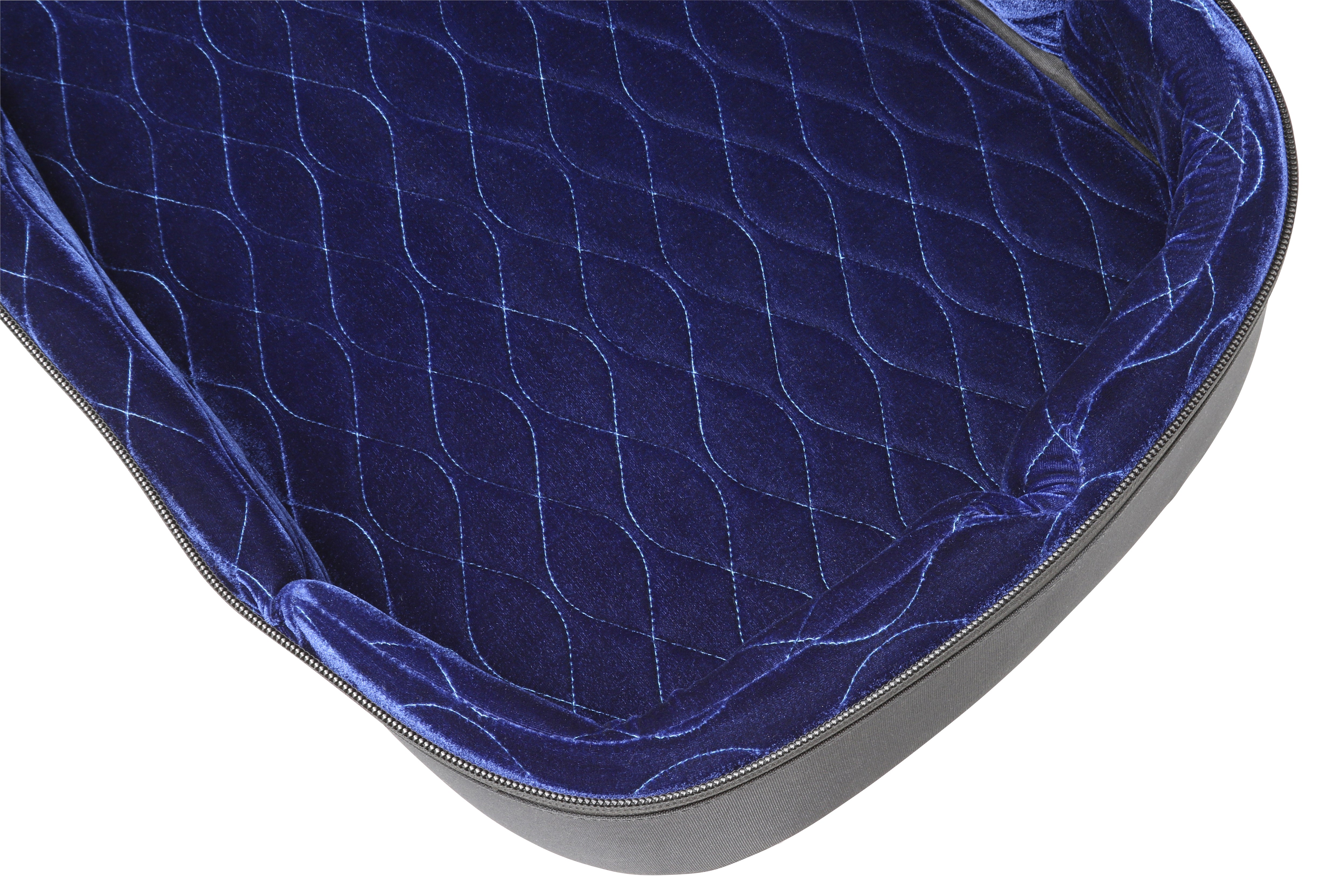 RBX Oxford Electric Guitar Bag - Pads