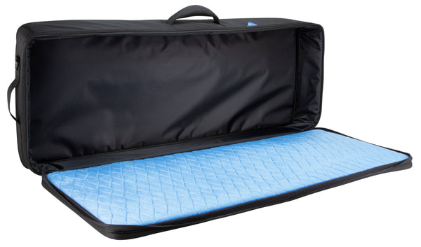RBX Pedalboard/Gear Bag 43x16 - Interior 1