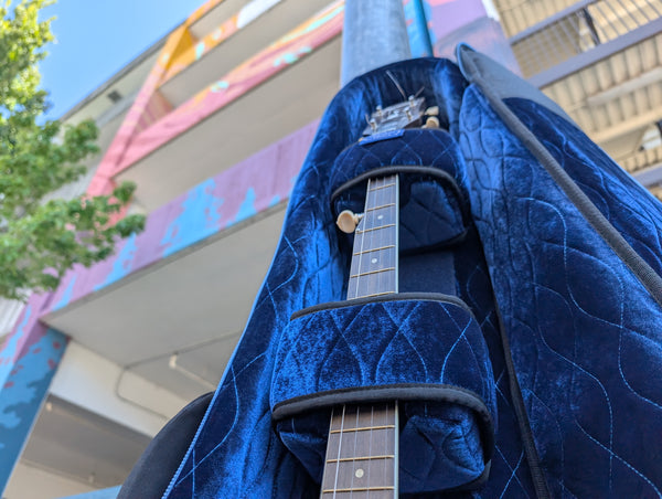 RB Expedition Banjo Case