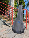 RB Expedition Banjo Case