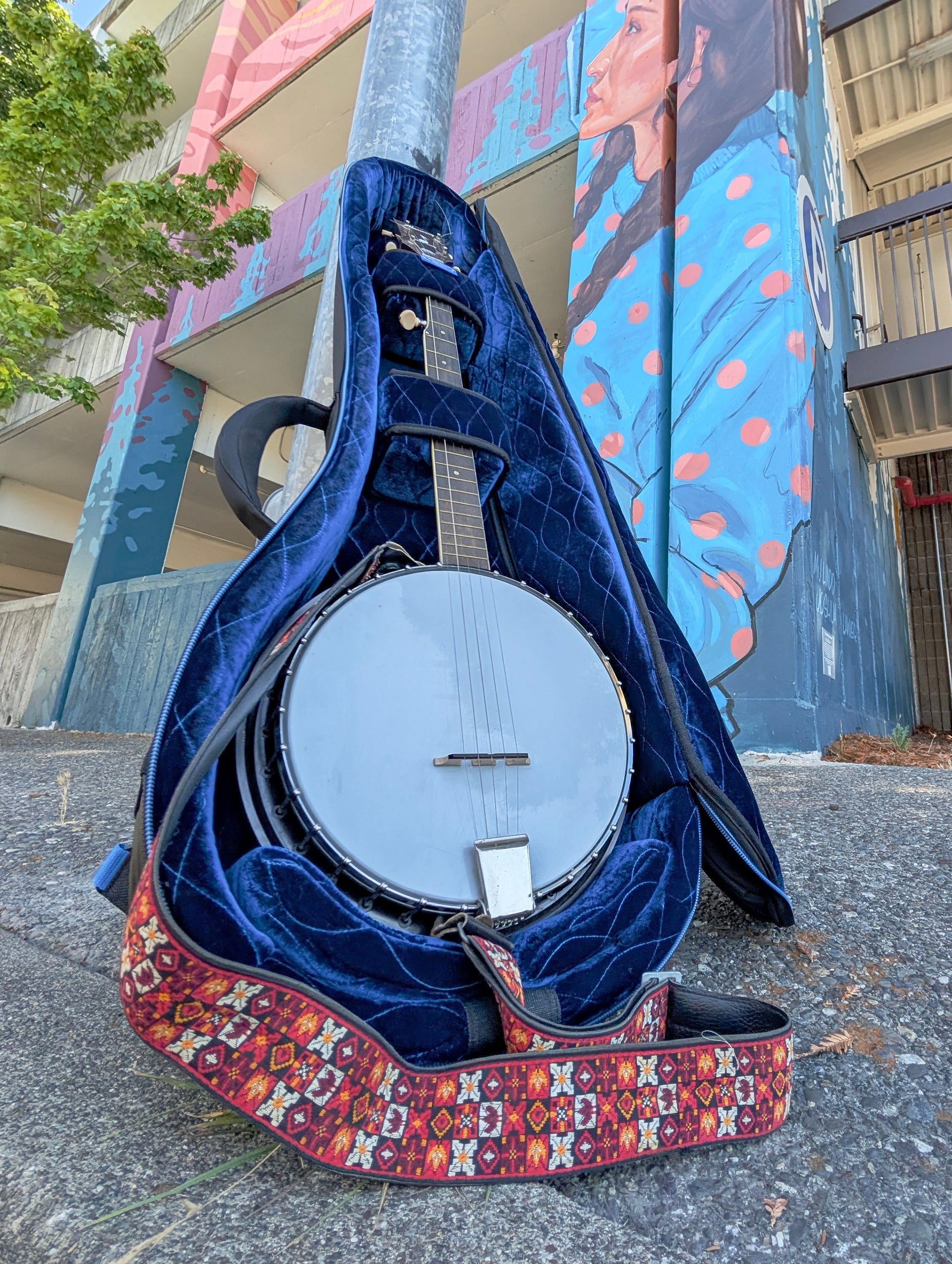 RB Expedition Banjo Case